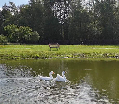 Фото проекта