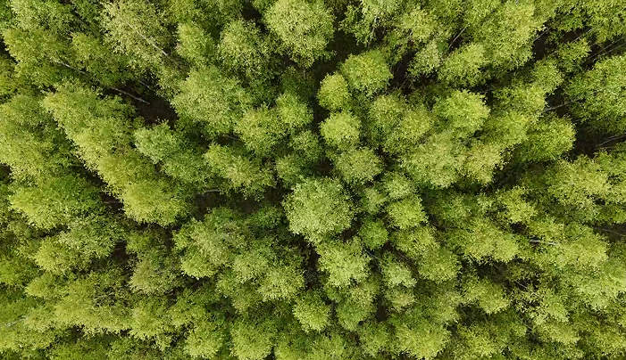 Фото проекта